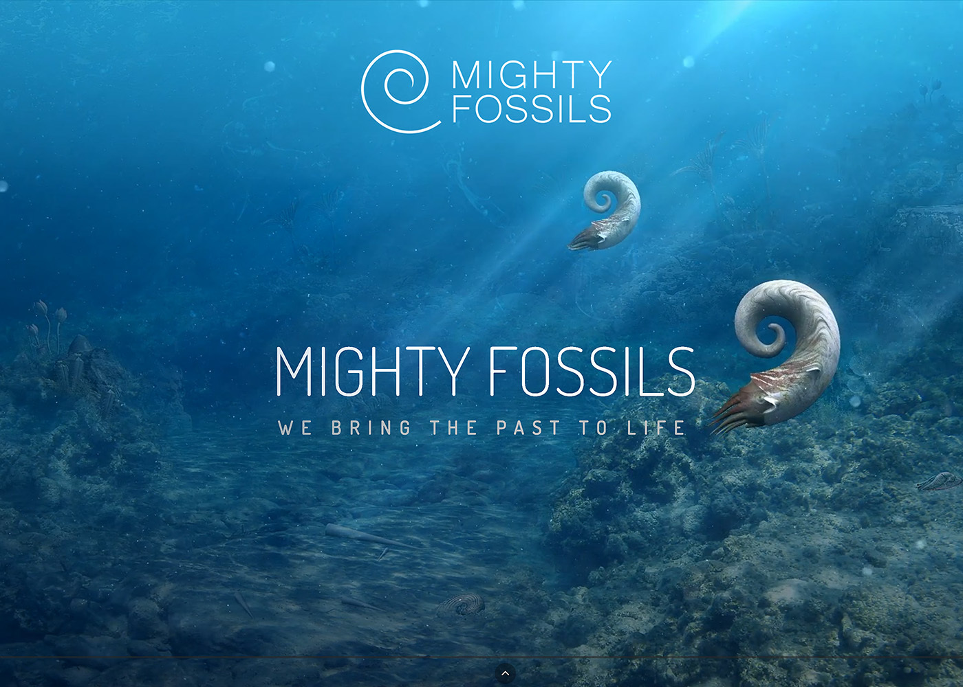 Mighty Fossils